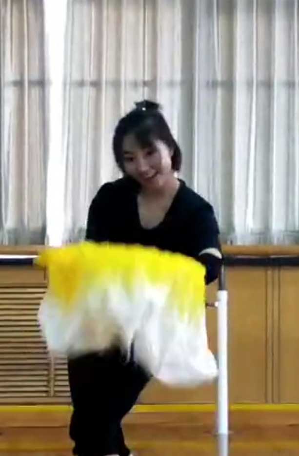 舞蹈教学