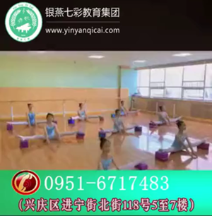 少儿舞蹈基本功训练视频