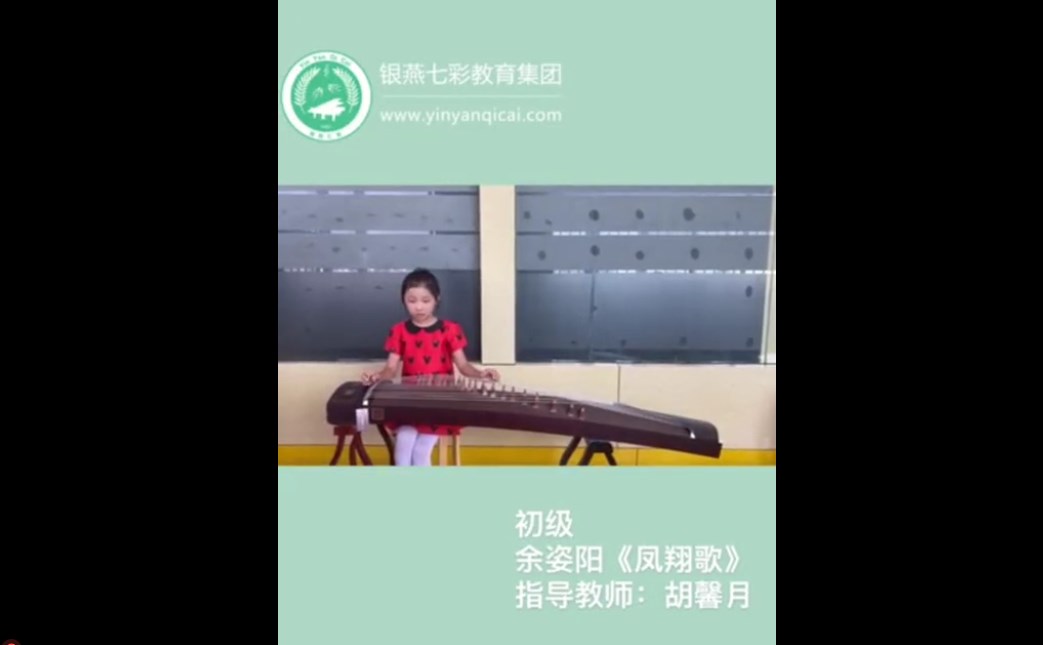 古筝独奏《凤翔歌》（初级）
