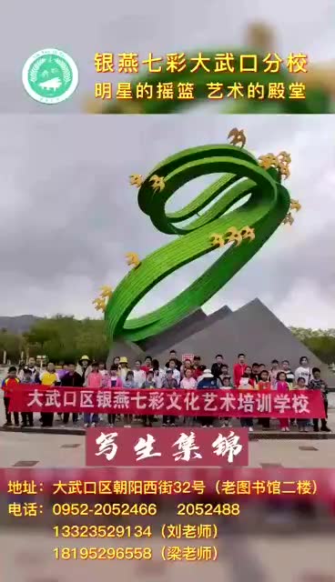  大武口区银燕七彩文化艺术培训学校——写生集锦